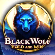Black Wolf slot game at PH365 casino