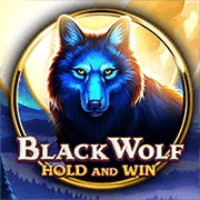 Black Wolf slot game at PH365