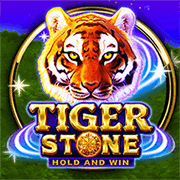 Tiger Stone slot game at PH365