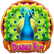 Double Fly slot game at PH365