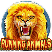 Running Animals slot game at PH365