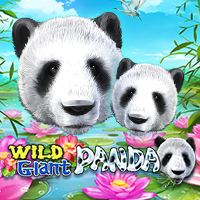 Wild Giant Panda slot game at PH365