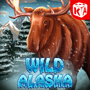 Wild Alaska slot game at PH365