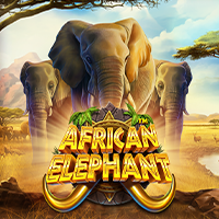 African Elephant slot game at PH365