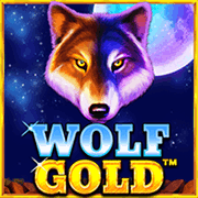 Wolf Gold slot game at PH365