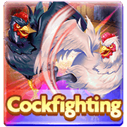 CockFighting card game at PH365