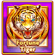 Fortune Tiger slot game at PH365