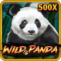 Wild Panda slot game at PH365