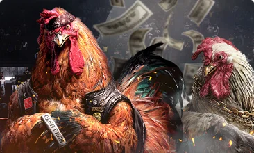 DS88 Cockfighting – live sabong at PH365 Philippines