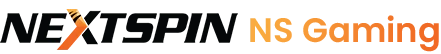 Next Spin logo